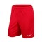 Nike Park II Knit Kind Shorts