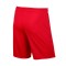 Nike Park II Knit Kind Shorts