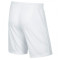 Nike Park II Knit Kind Shorts