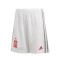 adidas Kinderen Spanje Uittenue Shorts 2020-2021 Shorts