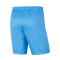 Nike Kinderen Park III Knit Shorts