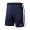 Nike Kinderen Academie 19 Knit Shorts