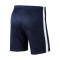Nike Kinderen Academie 19 Knit Shorts