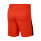 Nike League II Knit Kind Shorts