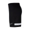 Nike Academie 21 Knit Shorts