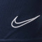 Nike Kinderen Academie Shorts