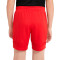 Nike Kinderen Academie Shorts