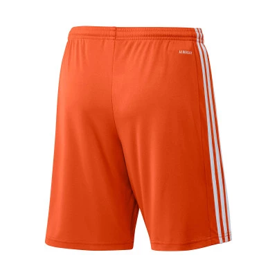Squadra 21 Shorts