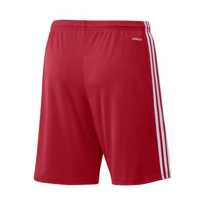 Squadra 21 Shorts