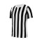 Nike Gestreepte Divisie IV s/s Shirt