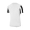 Nike Gestreepte Divisie IV s/s Shirt