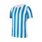 Nike Gestreepte Divisie IV s/s Shirt