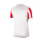 Nike Gestreepte Divisie IV s/s Shirt