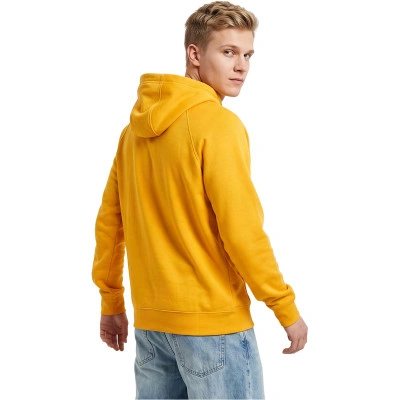 Team Club 20 Hoodie Mujer Sweatshirt