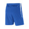 Nike Venom III Geweven Shorts