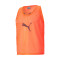 Puma TeamLIGA Trainingshesje