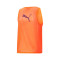 Puma TeamLIGA Trainingshesje
