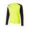 Puma Portero TeamLIGA m/l Shirt