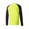 Puma Portero TeamLIGA m/l Shirt