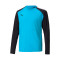 Puma Portero TeamLIGA m/l Niño Shirt