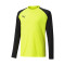 Puma Portero TeamLIGA m/l Niño Shirt