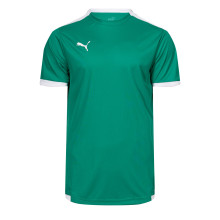 teamLIGA m/c Shirt Peper Groen-Wit
