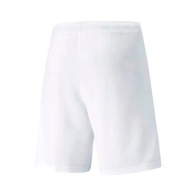TeamRISE Shorts