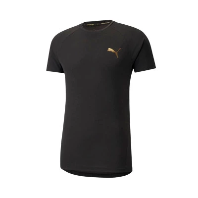 EvoStripe Shirt