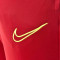 Nike Academy 21 Knit Lange broek