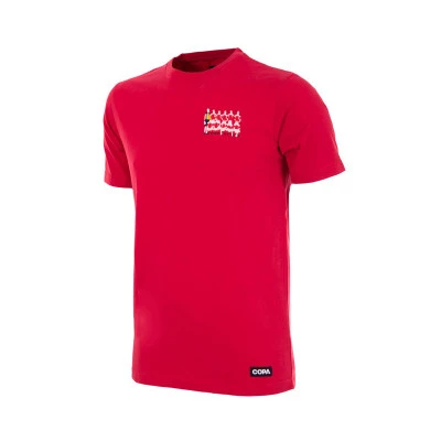 Denemarken 1992 Europese kampioenen T-Shirt