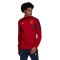 adidas Ajax de Ámsterdam Training 2022-2023 Jack