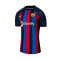 Nike FC Barcelona Thuisshirt Stadion Jersey T-Shirt