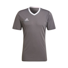 Entrada 22 s/s T-Shirt Team grijze vier