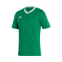 Entrada 22 s/s-Team groen