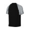 Nike Dri-Fit Academie m/c Shirt