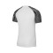 Nike Dri-Fit Academie m/c Shirt