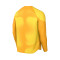 Nike Kinderen Gardien IV GK m/l Shirt