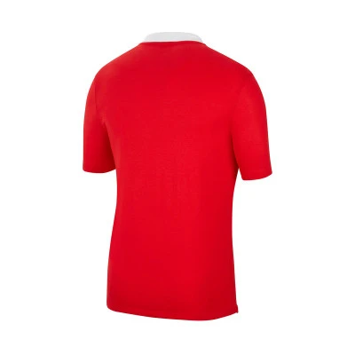 Dri-Fit Park 20 s/s Poloshirt