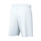Nike Gebreid Park III Shorts