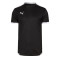 Puma Team LIGA s/s Shirt
