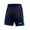 Nike Academie Pro Knit Shorts