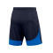 Nike Academie Pro Knit Shorts