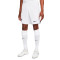 Nike Liverpool FC Uittenue Stadion 2022-2023 Shorts