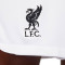 Nike Liverpool FC Uittenue Stadion 2022-2023 Shorts
