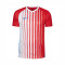 Nike Striped SMU II m/c T-Shirt