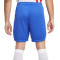 Nike Frankrijk Stadion Qatar 2022 Uit Shorts
