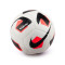 Nike Park Team 2.0 Bal