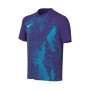 Precision VI m/c kind-Court Purple-Chlorine Blue-White