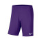 Nike Park III Knit Niño Shorts