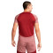 Nike Dri-Fit Academy Shirt